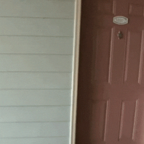 A package is tossed onto a doormat in front of a front door.