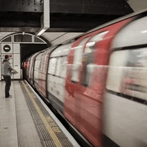 A train pulls into an underground station platform.