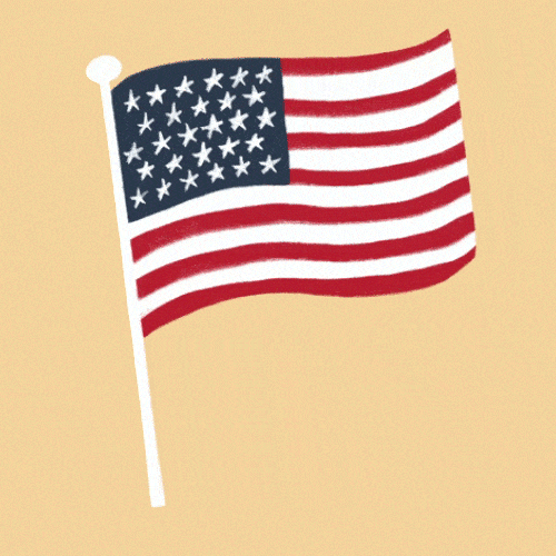 The American flag 