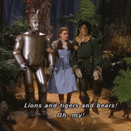 Film still from The Wizard of Oz with characters reacting dramatically, referencing the phrase &ldquo;oh my&rdquo; and cultural expression