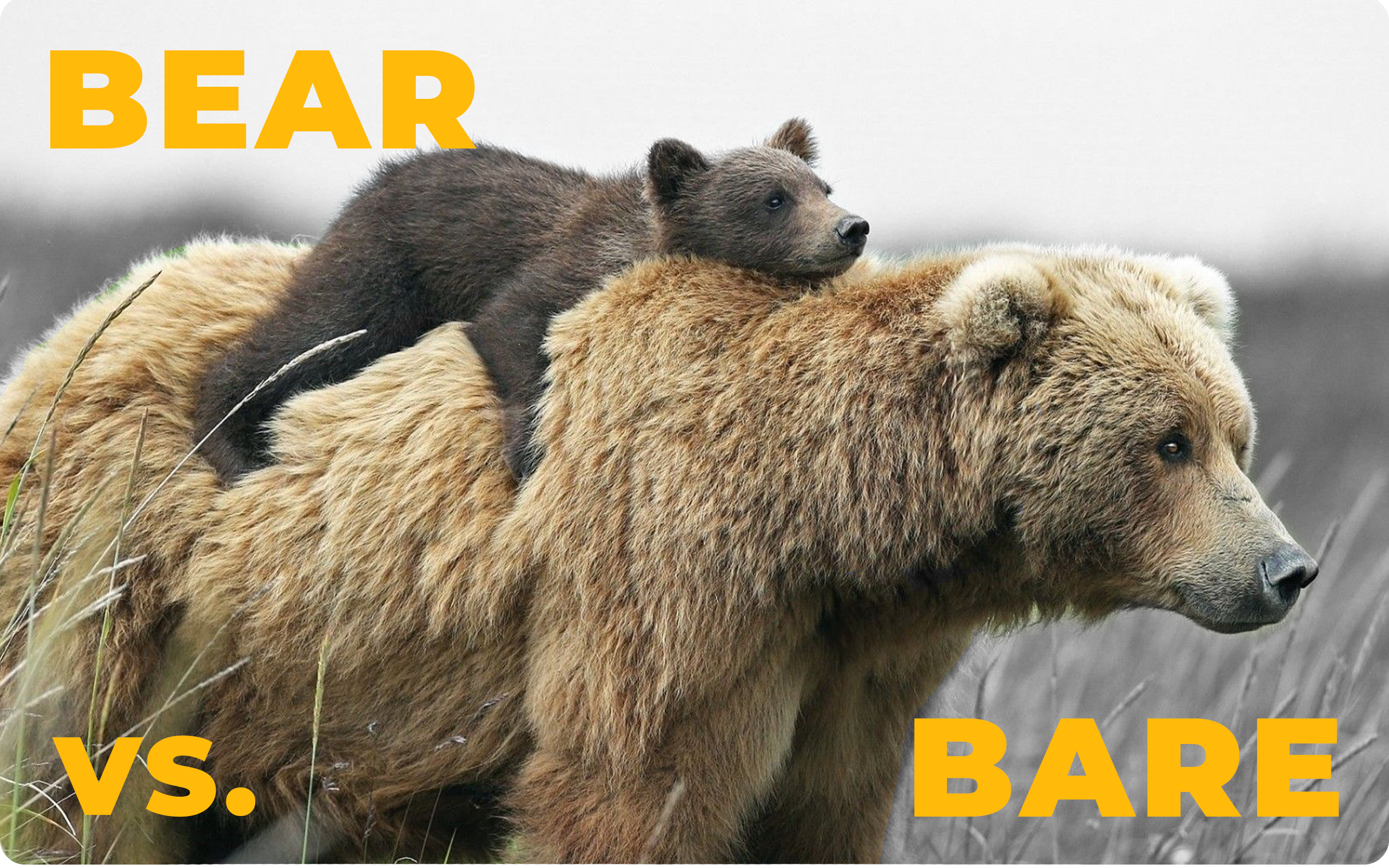 "Bare" vs. "Bear"
