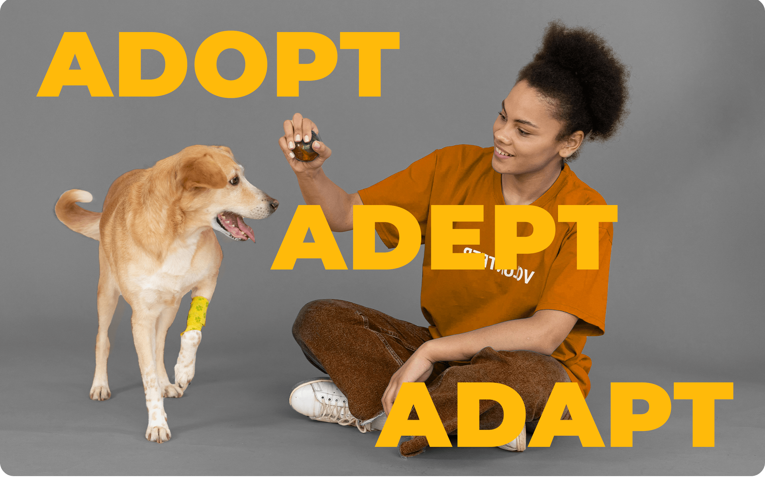 Understanding "adapt", "adept", and "adopt"
