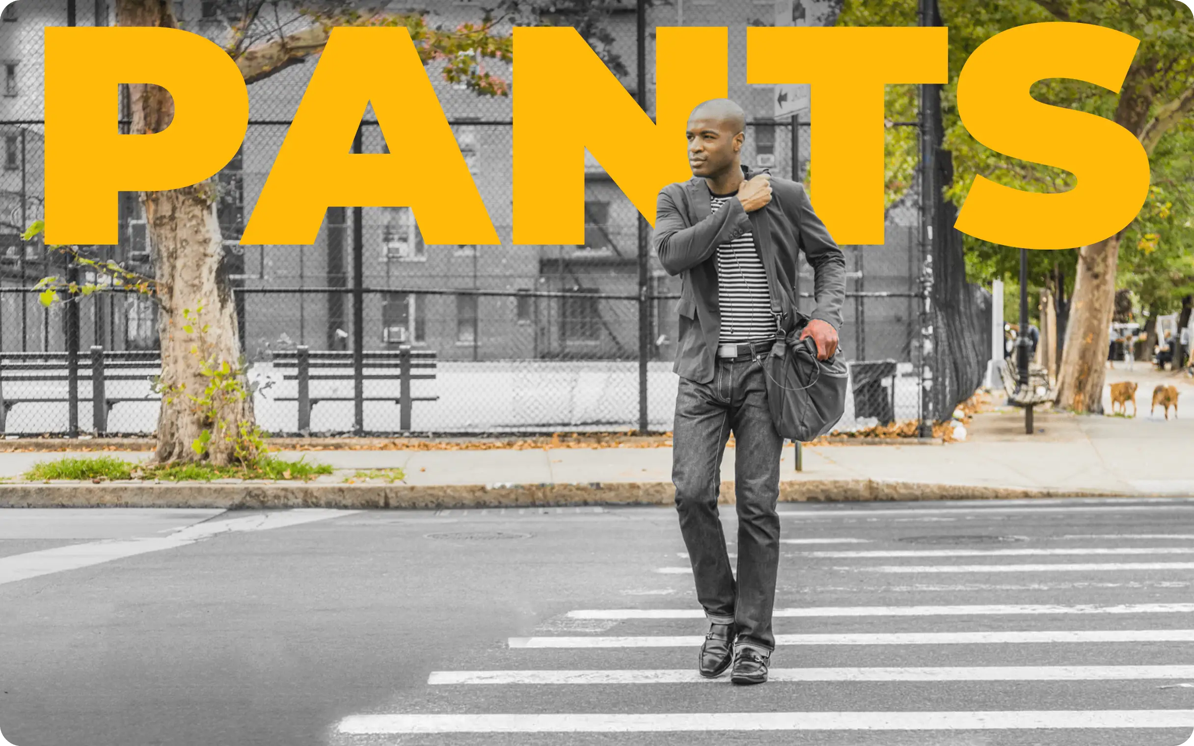 Why is "pants" always plural in English?