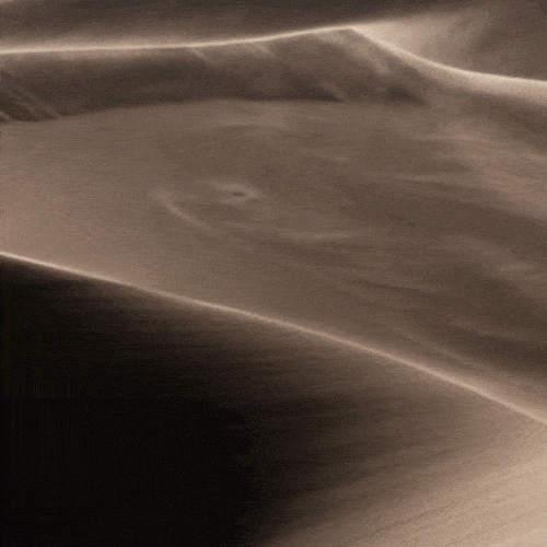 Wind blows sand across smooth desert dunes.